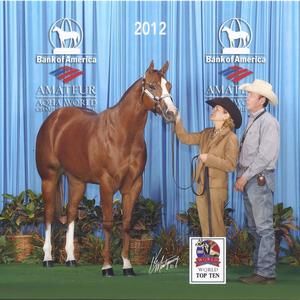 Meet your Posher, Rose